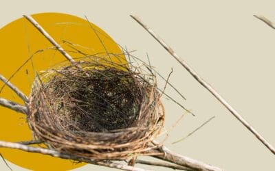 Leeres Vogelnest – Symbolbild für das Empty-Nest-Syndrom